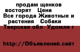 продам щенков восторят › Цена ­ 7 000 - Все города Животные и растения » Собаки   . Тверская обл.,Удомля г.